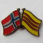 flag pin